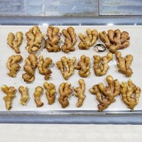 大量出售批發保鮮姜風干姜 耐保存真空包裝姜大小規格 包裝齊全